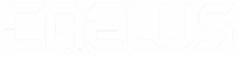 caelus business solutions logo white with transparent background